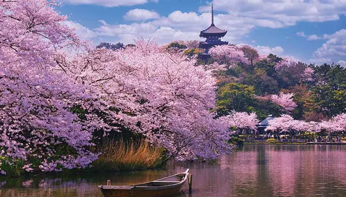 Best Places to Visit in March